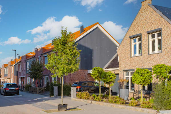 Straße mit mehreren Wohnhäusern und Vorgärten.