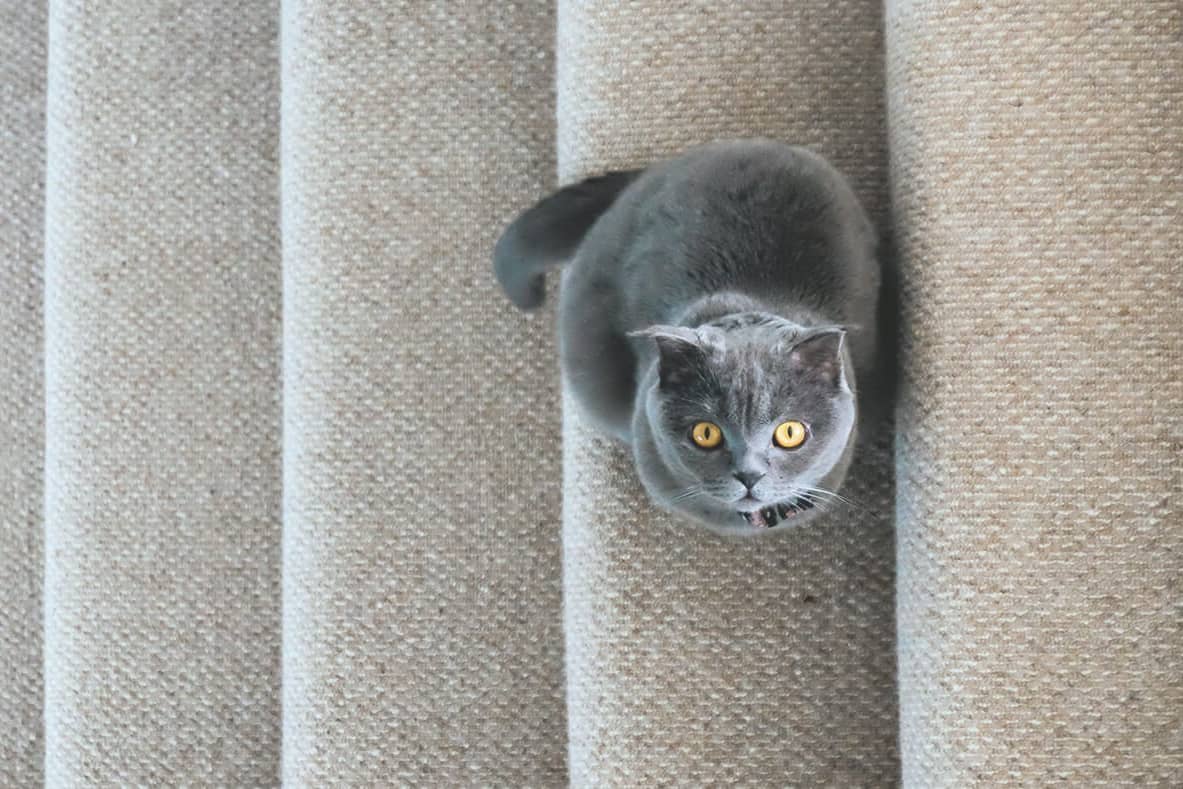 Treppe Kosten