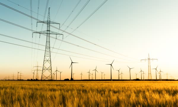 Strommasten und Windräder auf einer Wiese bei Sonnenuntergang