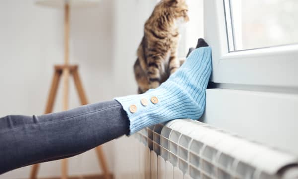 Füße einer jungen Frau auf einem Heizkörper unter einem gekippten Fenster, daneben sitzt eine Katze auf der Heizung und schaut nach draußen