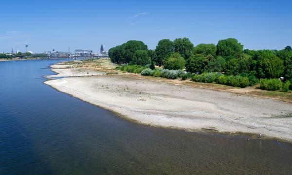 Niedriger Wasserstand des Rheins in Köln mit breiten, trockenen Kiesbänken