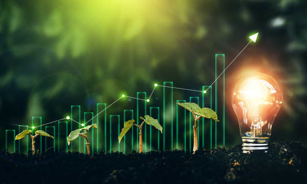 Leuchtende Glühbirne und junge Pflanzen in Erde neben ansteigendem Diagramm