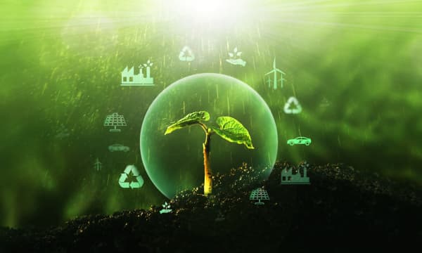 Sprössling in der Erde vor grünem Hintergrund mit schematischer Darstellung von Quellen für erneuerbare, nachhaltige Entwicklung wie E-Mobilität, Windkraft und Solar