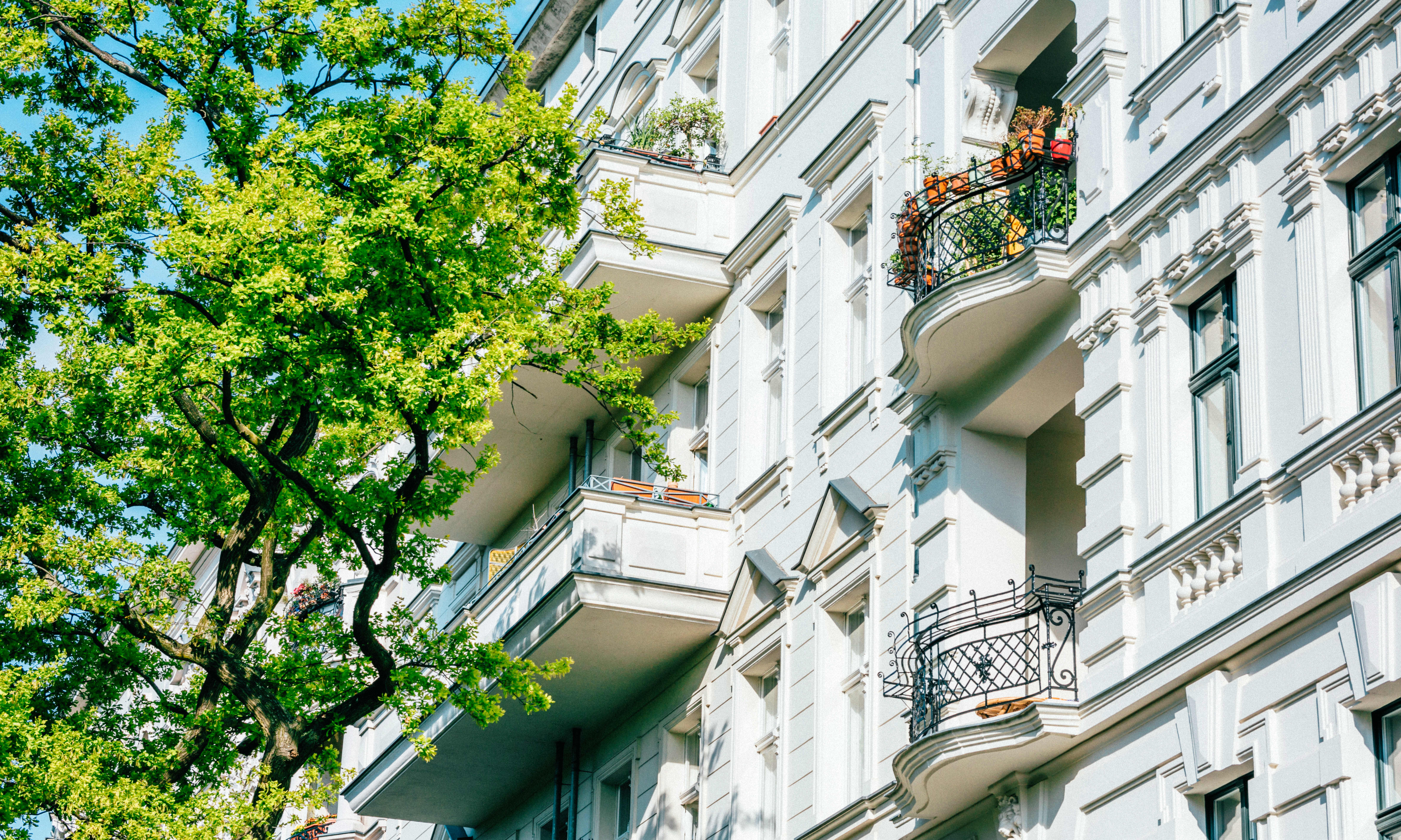Seitliche Ansicht der weißen Fassade eines Mehrfamilienhauses in Berlin mit Stuck und Balkonen, davor ein grüner Baum