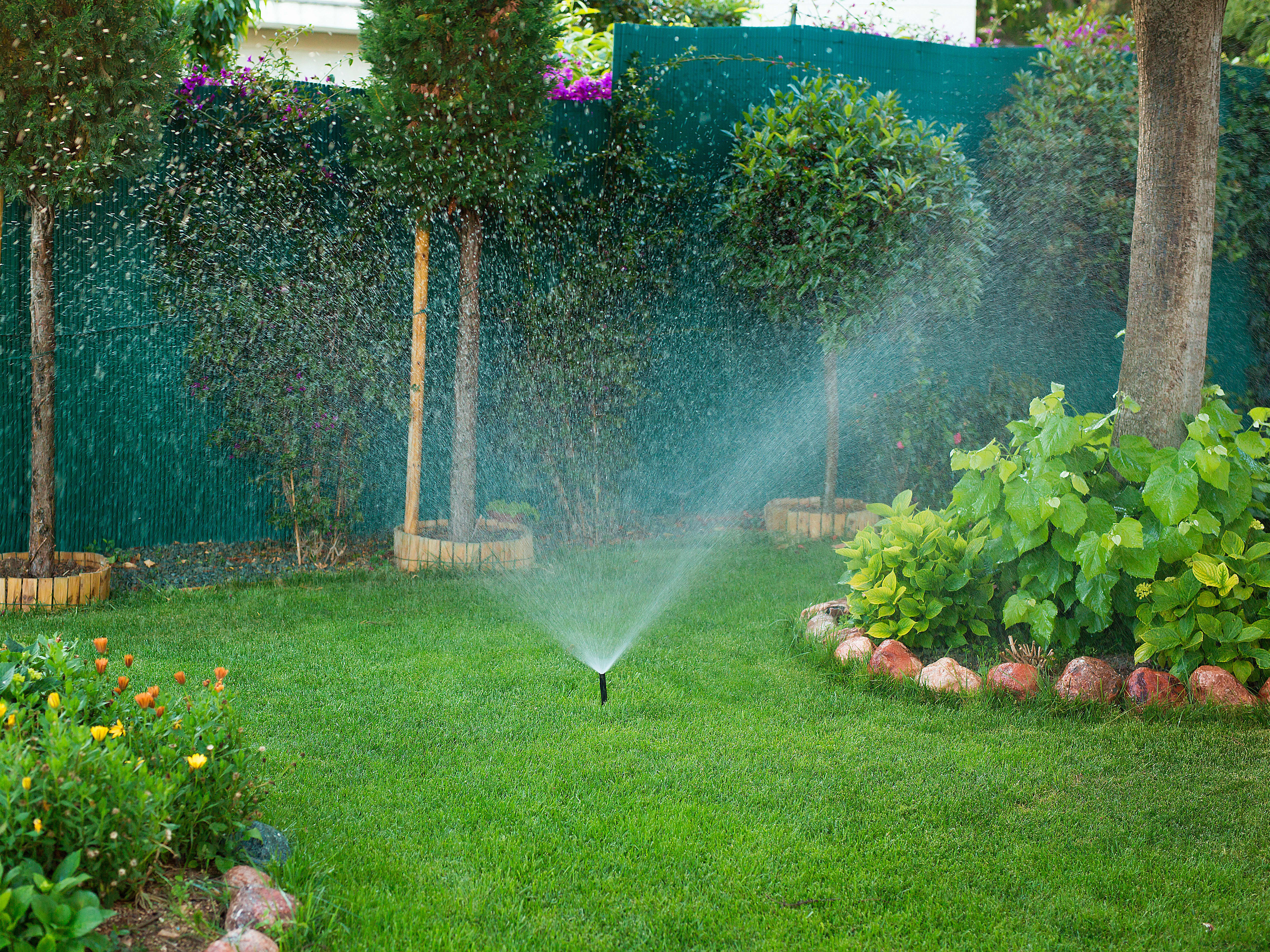 Garten-Bewsserungssysteme - Arten, Vorteile & Kosten im berblick