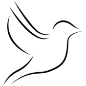 Logo von Flying Bird Media