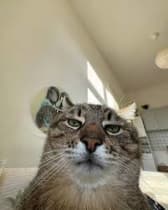 Logo von Demo Demo GmbH AWS Error