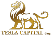 Logo von Tesla Capital Corporation Niederlassung Deutschland