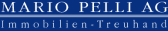 Logo von Mario Pelli AG