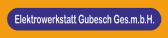 Logo von Elektrowerkstatt GUBESCH Ges.m.b.H
