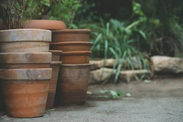 Viele Terrakottatöpfe im Garten