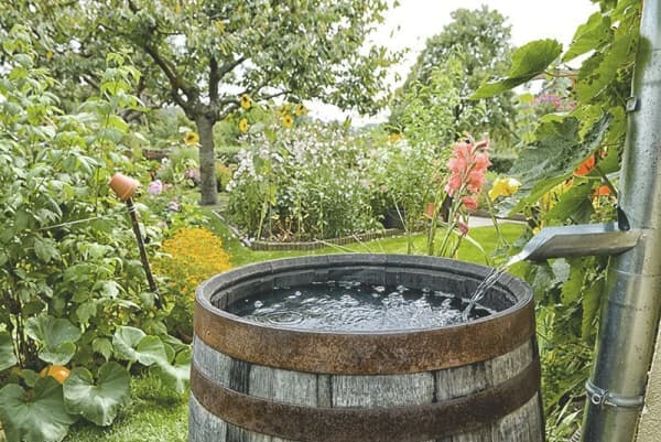 Garten Nachhaltigkeit