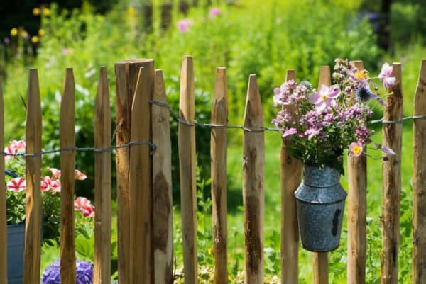 Staketenzaun mit Sommerblume