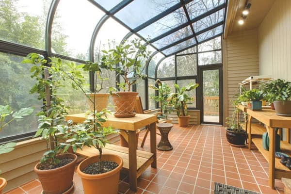 Pflanzen in einem kalten Wintergarten