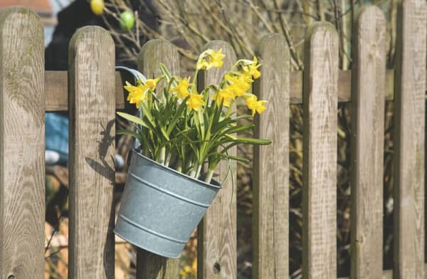 Holzzaun, an dem ein Metalltopf mit Blumen hängt