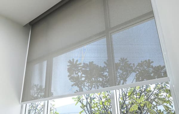 Sonnenschutz: halbtransparentes Rollo am Fenster mit Blick auf draußen