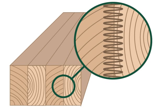 Grafik Aufbau von Brettschichtholz für Wintergärten