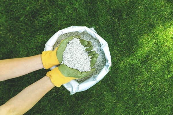 Hände die Rasendünger halten