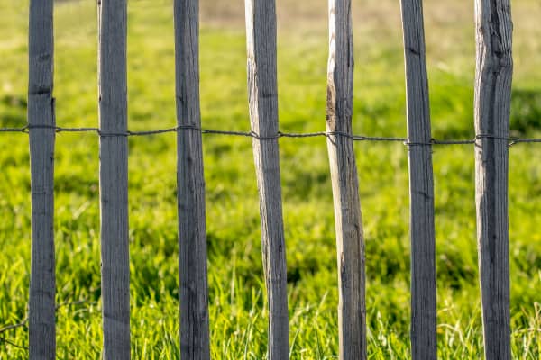Naturbelassener Staketenzaun als Begrenzung auf grüner Wiese