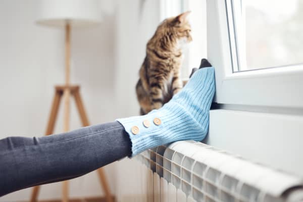 Füße einer jungen Frau auf einem Heizkörper unter einem gekippten Fenster, daneben sitzt eine Katze auf der Heizung und schaut nach draußen
