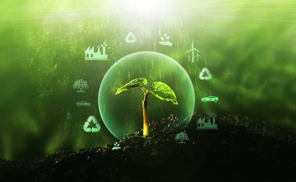 Sprössling in der Erde vor grünem Hintergrund mit schematischer Darstellung von Quellen für erneuerbare, nachhaltige Entwicklung wie E-Mobilität, Windkraft und Solar