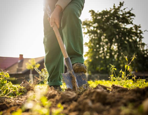 Bild von zufriedenen Hauseigentümern und Handwerkern, die sich die Hände schütteln.