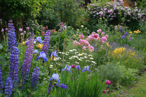Ein Garten mit vielen bunten Blumen und grünen Bäumen.