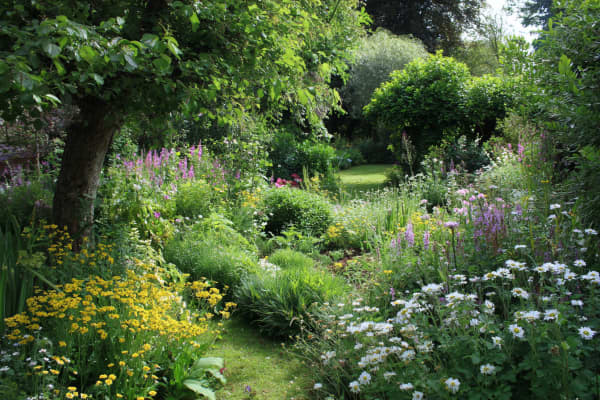 Großer Garten mit vielen grünen Pflanzen und Blumen.
