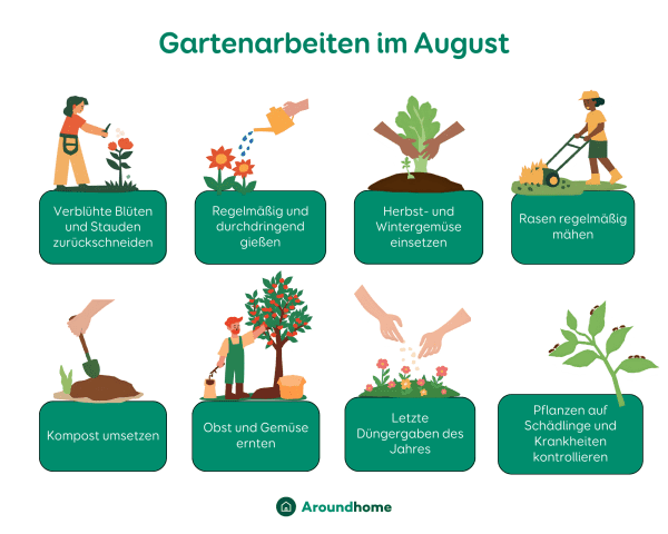 Grafik über die Gartenarbeiten im August.