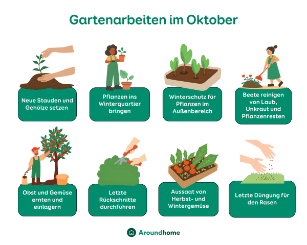 Grafik über die Gartenarbeiten im Oktober.