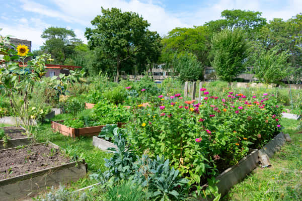 Garten mit verschiedenen Blumenbeeten.