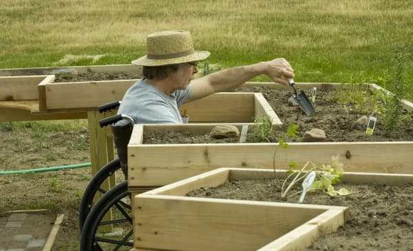 Mann im Rollstuhl arbeitet im Hochbeet