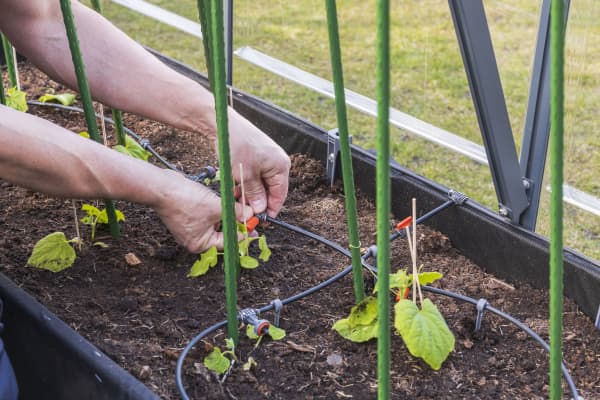 Person installiert automatisches Bewässerungssystem.