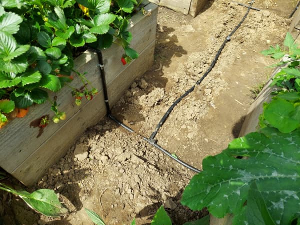 Hochbeete mit Bewässerungssysteme
