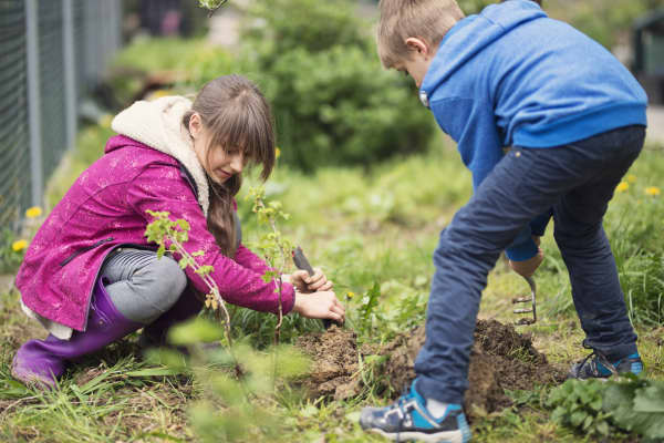 Kinder arbeiten in einem Beet im Garten.