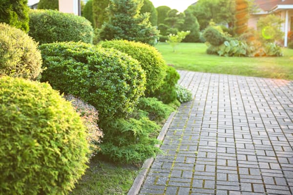 Gepflasterte Einfahrt im Garten