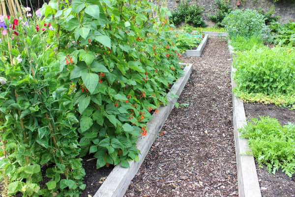 Beete mit Gehweg aus Rindenmulch