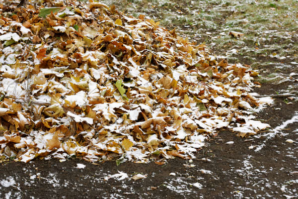 Laubhaufen im Winter im Garten