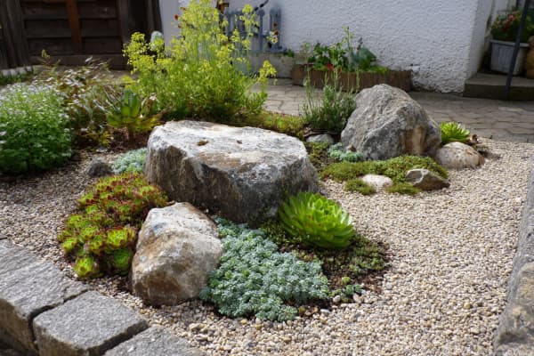 Steingarten mit großen Findlingen, Kies und Pflanzen.