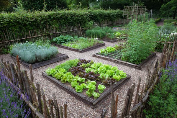 Großer Gemüsegarten mit vielen Beeten.