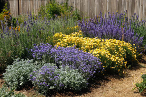 Blumenbeet mit verschiedenen bunten Blumen.