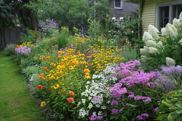 Ein Garten mit einem bunten Blumenbeet und einem Schuppen im Hintergrund.