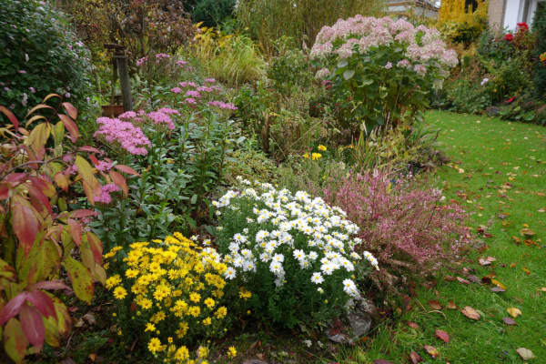 Ein Garten mit Blumenbeeten im Herbst.