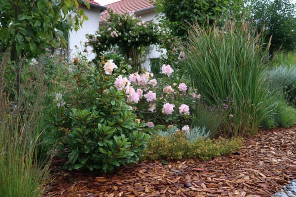 Beet in einem modernen Garten mit verschiedenen grünen Pflanzen.