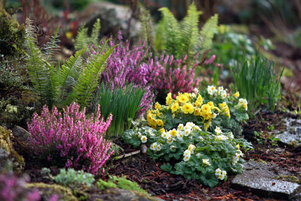 Ein Beet mit verschiedenen Blumen
