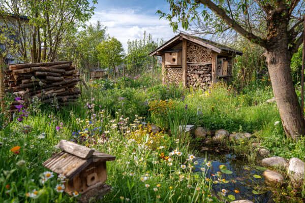 Ein naturnaher Garten mit einem Teich und Insektenhotel.