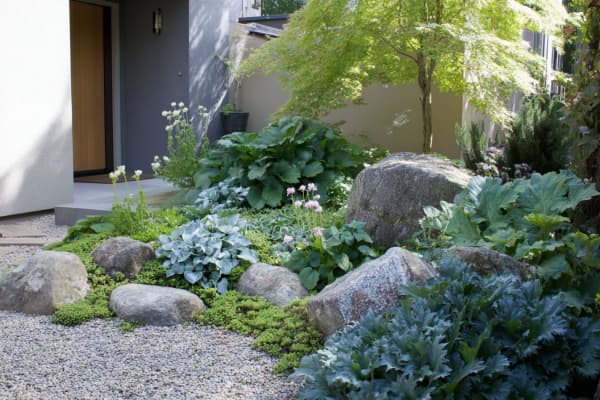 Vorgarten als Steingarten angelegt mit Pflanzen