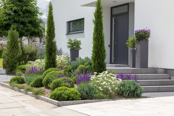 Ein moderner Vorgarten mit einem Blumenbeet.