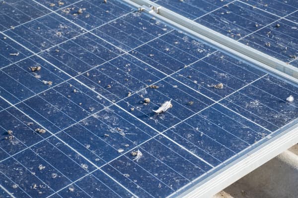 Mit Vogelkot stark verschmutzte Solarmodule