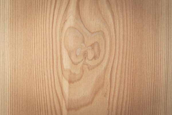 Nahaufnahme vom Holz der Douglasie